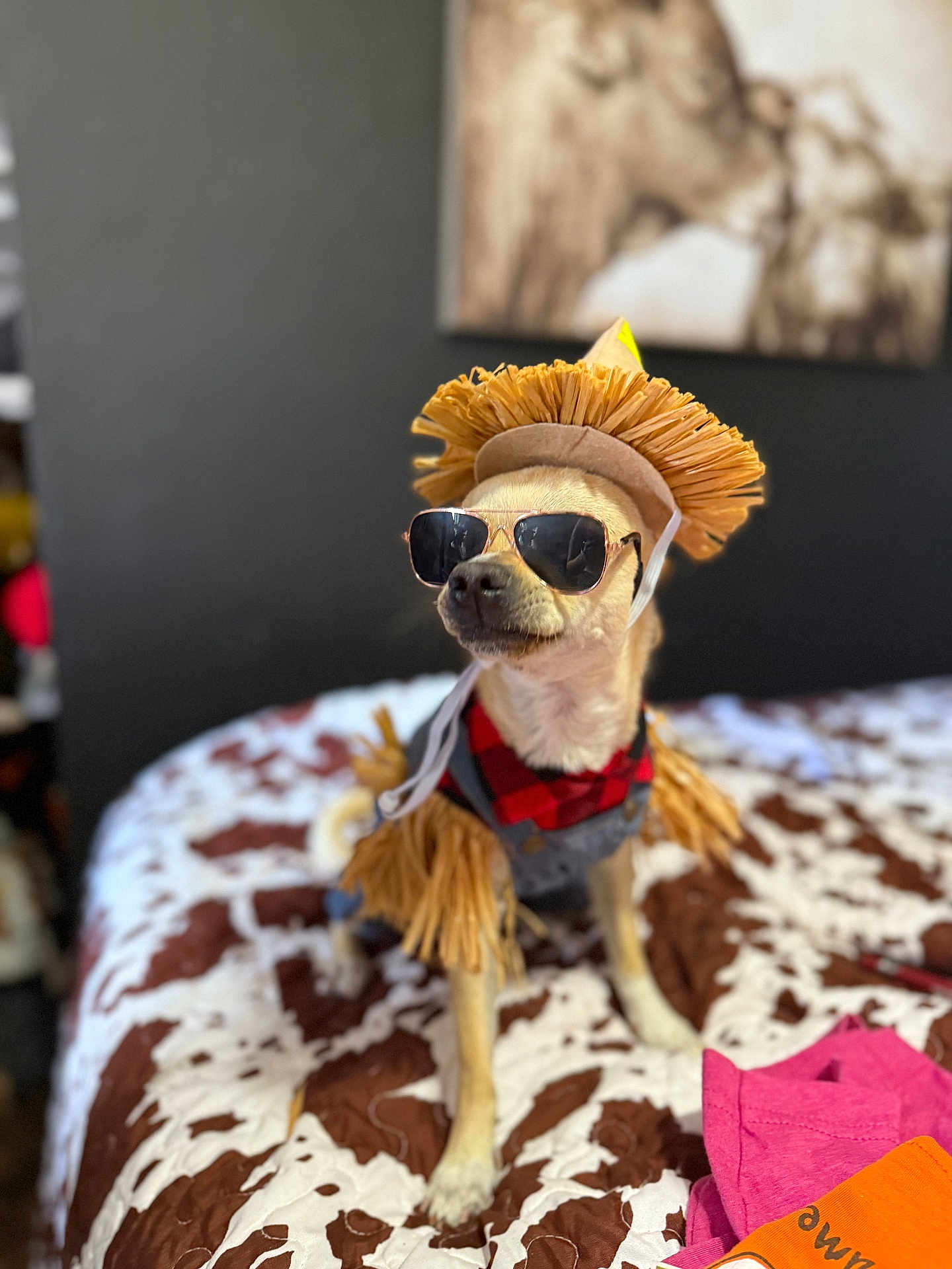 Chuco