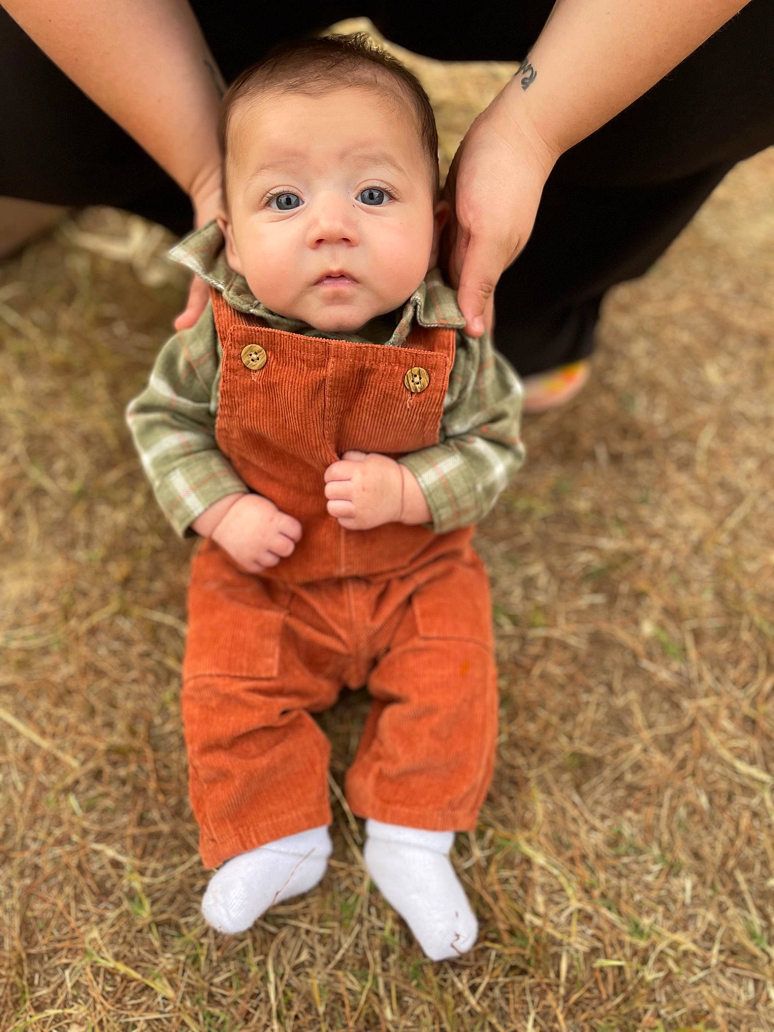 Ivan joined the competition — help win amazing prizes! baby, baby_toddler_clothing, ball, child, eye, finger, flash_photography, fur, gesture, grass, hand, happy, people_in_nature, person, sitting, skin, sleeve, soil, thumb, toddler