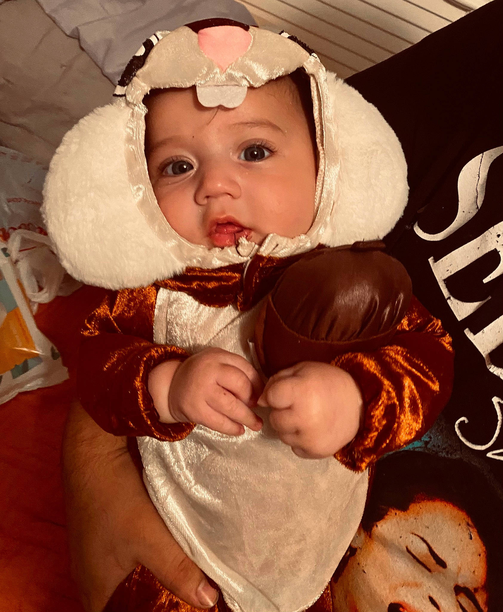 Ivan is registered to the contest to win money with this photo: baby, baby_products, baby_toddler_clothing, cheek, child, chin, comfort, fashion_accessory, happy, headband, headgear, headpiece, headwear, human_body, iris, lip, mouth, nose, person, sitting