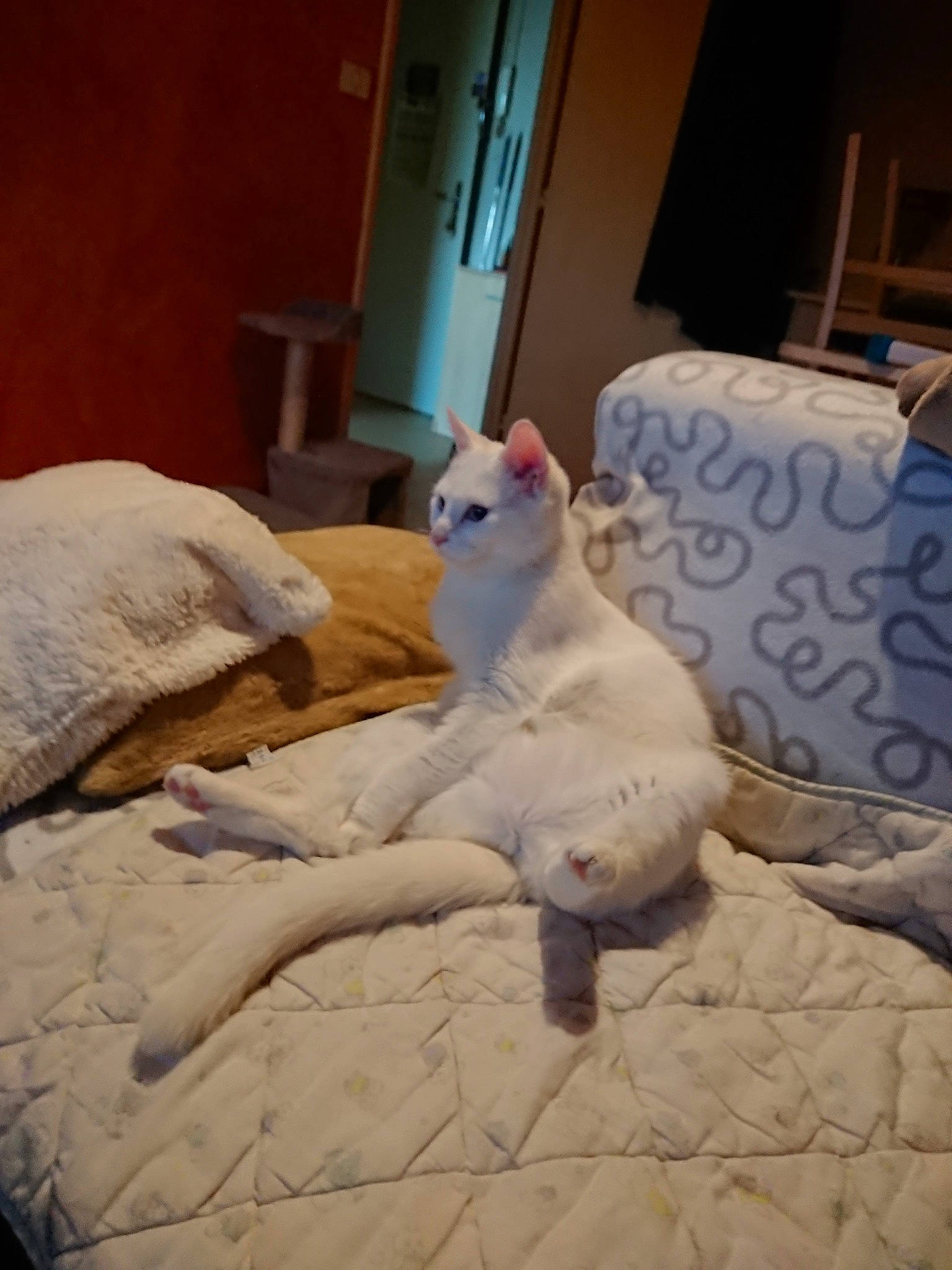 Nala