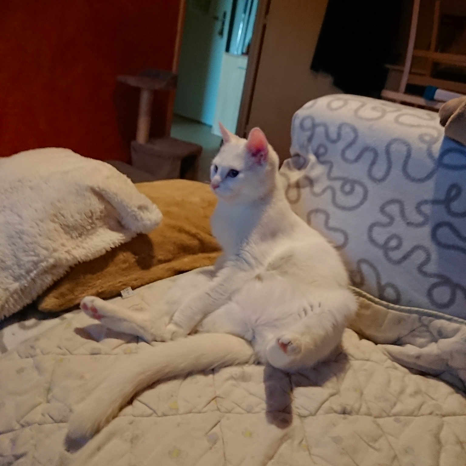 Nala