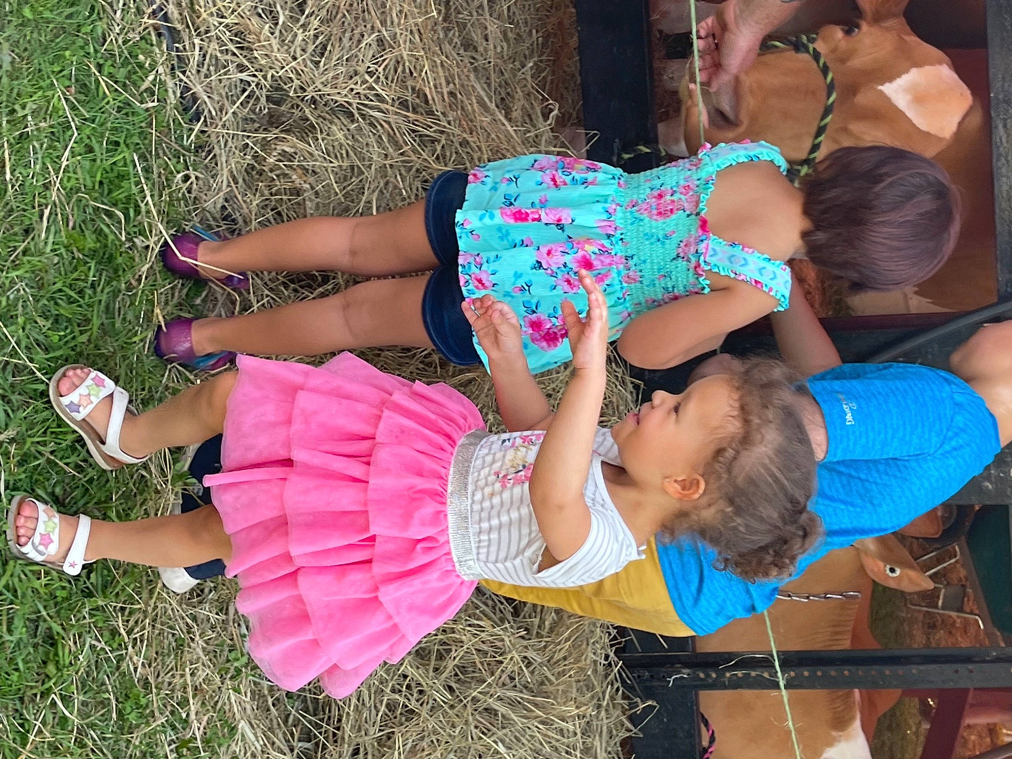 Nolan is registered to the contest to win money with this photo: child, fun, grass, happy, human_leg, joint, leg, leisure, magenta, pattern, people_in_nature, person, pink, plant, play, recreation, sandal, thigh, toddler, trunk