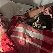 Princesa joined the competition — help win amazing prizes! man, smiling, bed, blanket, red, white, checkered, cat, tabby, pet, cozy, indoor, relaxed, happy, pointing, resting, pillow, human, animal, comfort
