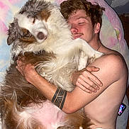 Morty is registered to the contest to win money with this photo: dog, dogs, person, man, sleeping, cuddling, fluffy, long_hair, white_dog, brown_dog, tricolor_dog, pet, animals, bed, blanket, indoors, portrait, closeup, tattoo, smartphone