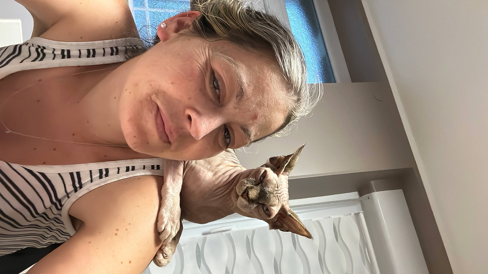 Kyara a rejoint le concours — aidez-le/la à gagner de superbes lots ! beard, blond, cat, chest, domestic_short_haired_cat, ear, eye, facial_hair, felidae, fur, gesture, hair, happy, jaw, mammal, mouth, neck, small_to_medium_sized_cats, smile, whiskers