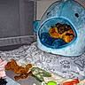 Franklin is registered to the contest to win money with this photo: animal, blanket, blue, colorful, comfort, cozy, cute, dog, fabric, fish_shape, indoor, paw_prints, pet_bed, playful, plush, resting, small_dog, soft, stuffed_animal, toy