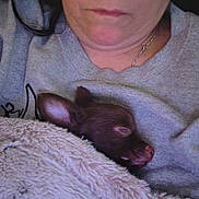 Franklin is registered to the contest to win money with this photo: