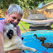 Theo Von is registered to the contest to win money with this photo: person, dog, pug, pool, ducks, backyard, hammock, grill, fence, grass, tree, sunlight, water, summer, pet, happy, outdoor, fun, animal, affection
