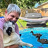 affection, animal, backyard, dog, ducks, fence, fun, grass, grill, hammock, happy, outdoor, person, pet, pool, pug, summer, sunlight, tree, water