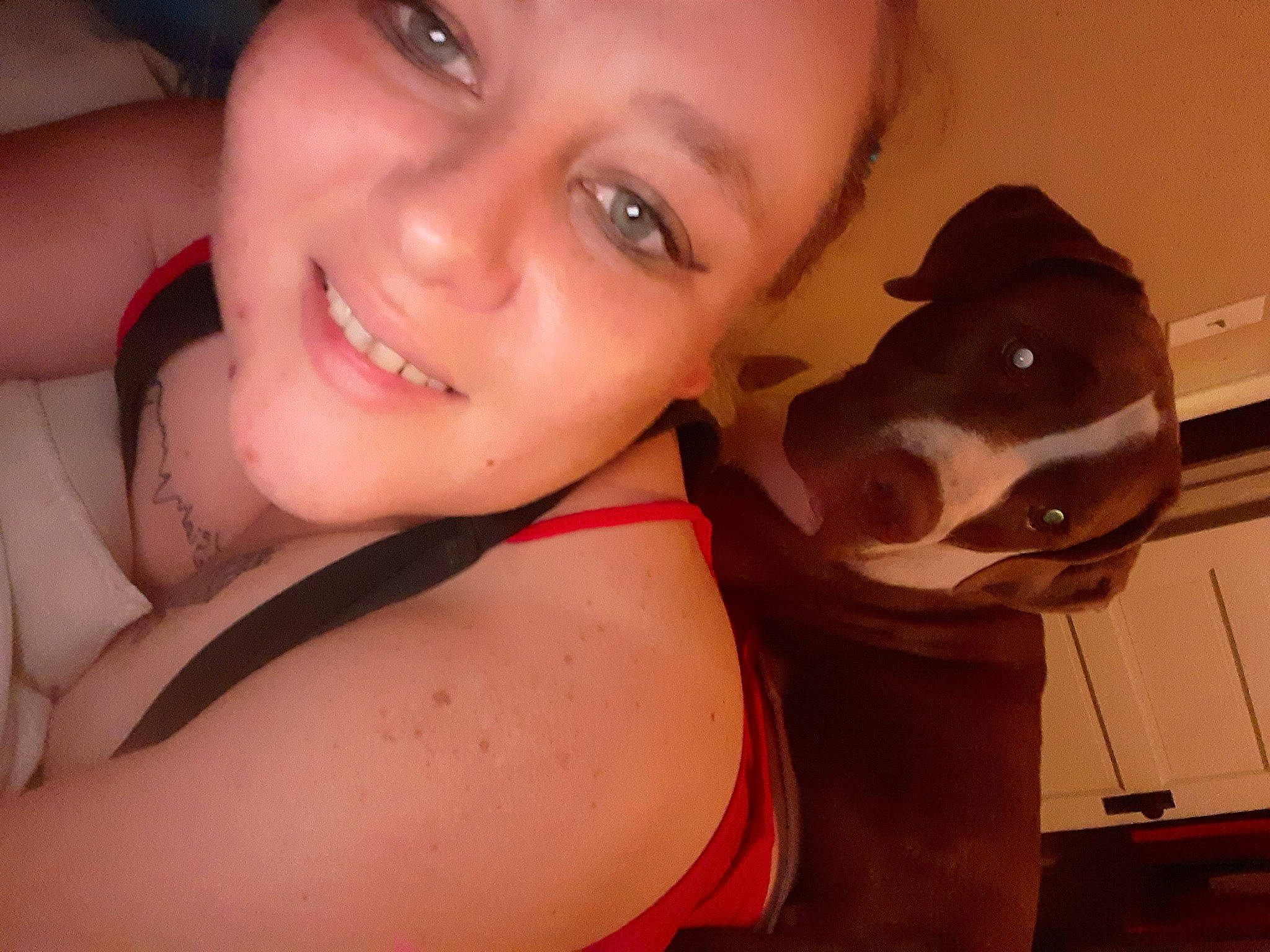 King is registered to the contest to win money with this photo: carnivore, chest, companion_dog, dog, dog_breed, ear, eyelash, fawn, gesture, happy, head, jaw, lip, mouth, neck, nose, smile, snout, trunk, working_animal