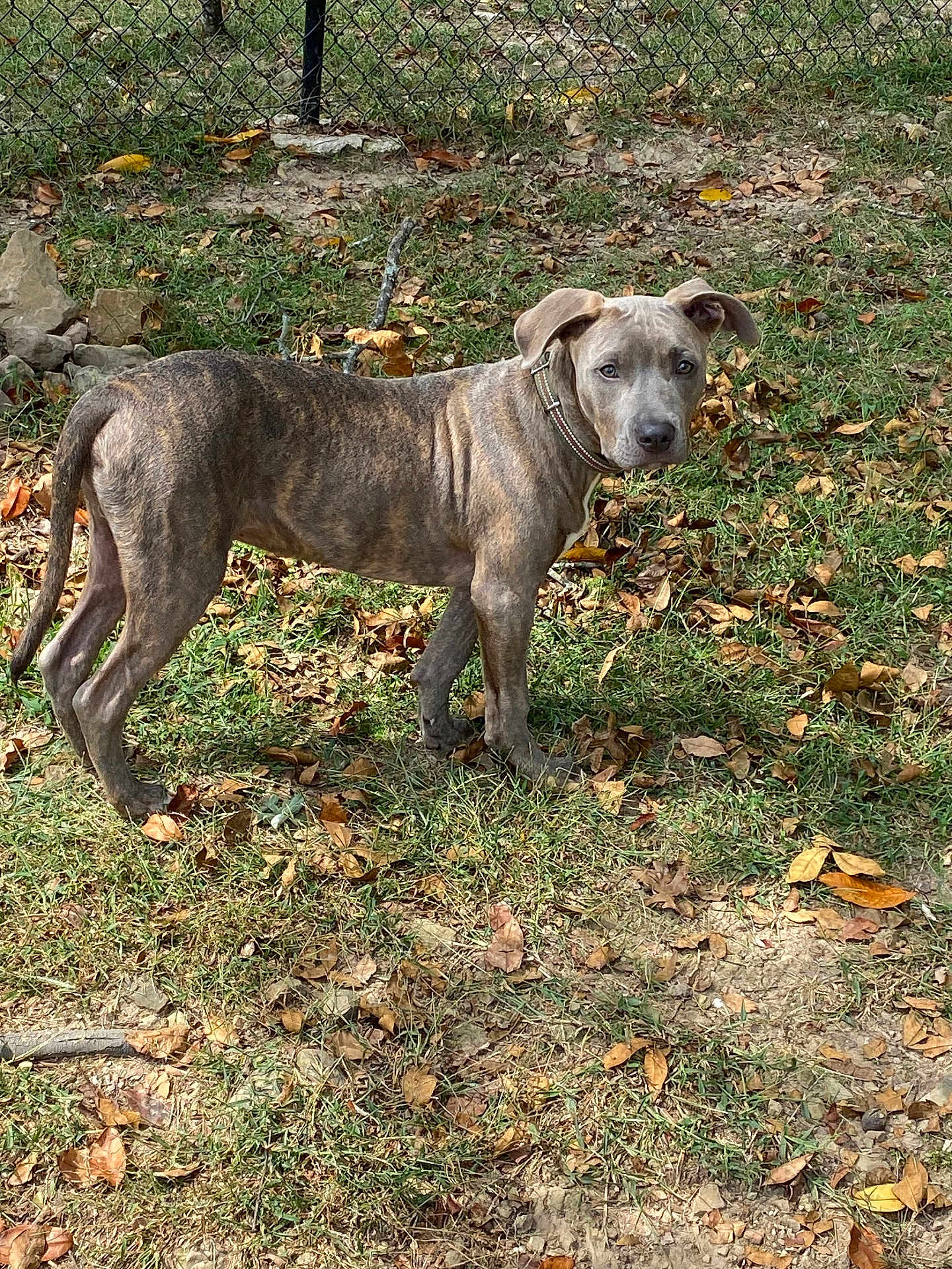 Zeus