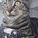 Athos