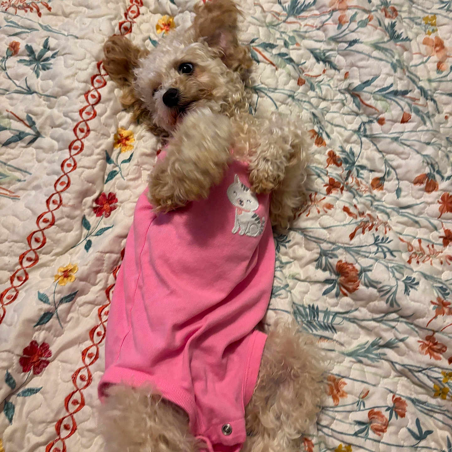 Sunnygirl