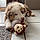Aslan