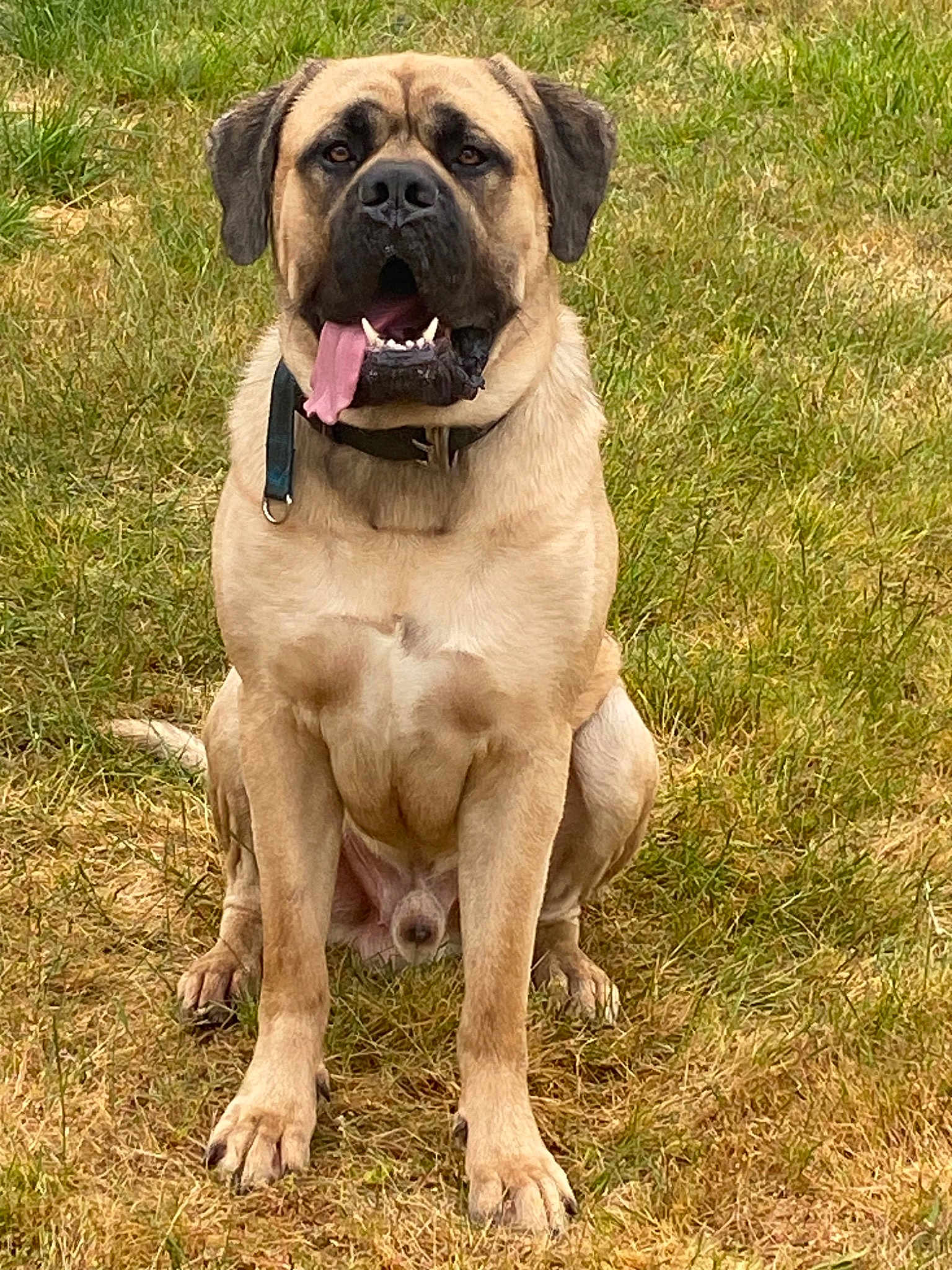 Hudson