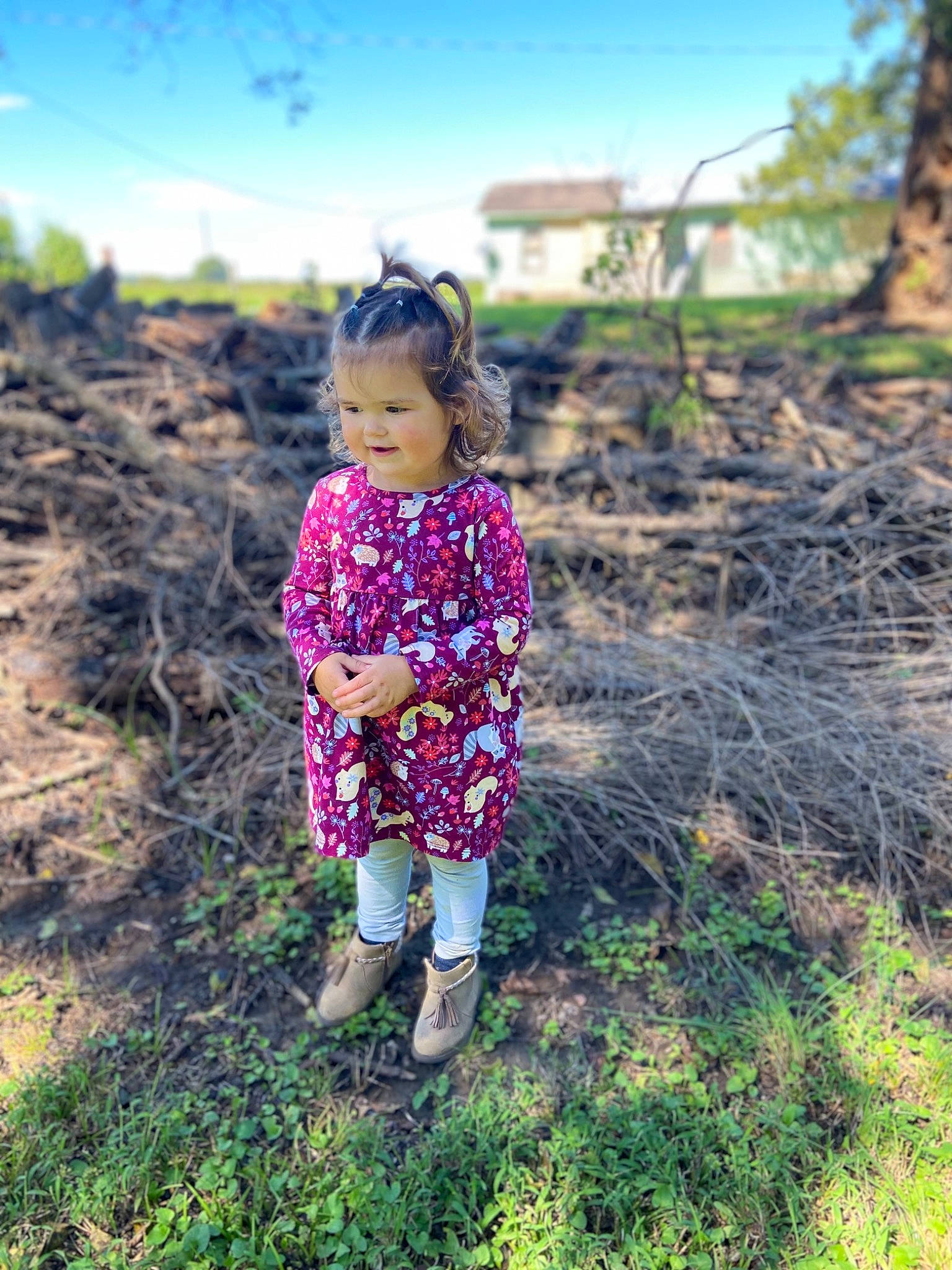 Brielle is registered to the contest to win money with this photo: adaptation, branch, child, forest, fun, grass, grass_family, grassland, happy, landscape, leaf, magenta, people_in_nature, person, plant, sky, toddler, tree, wilderness, wood