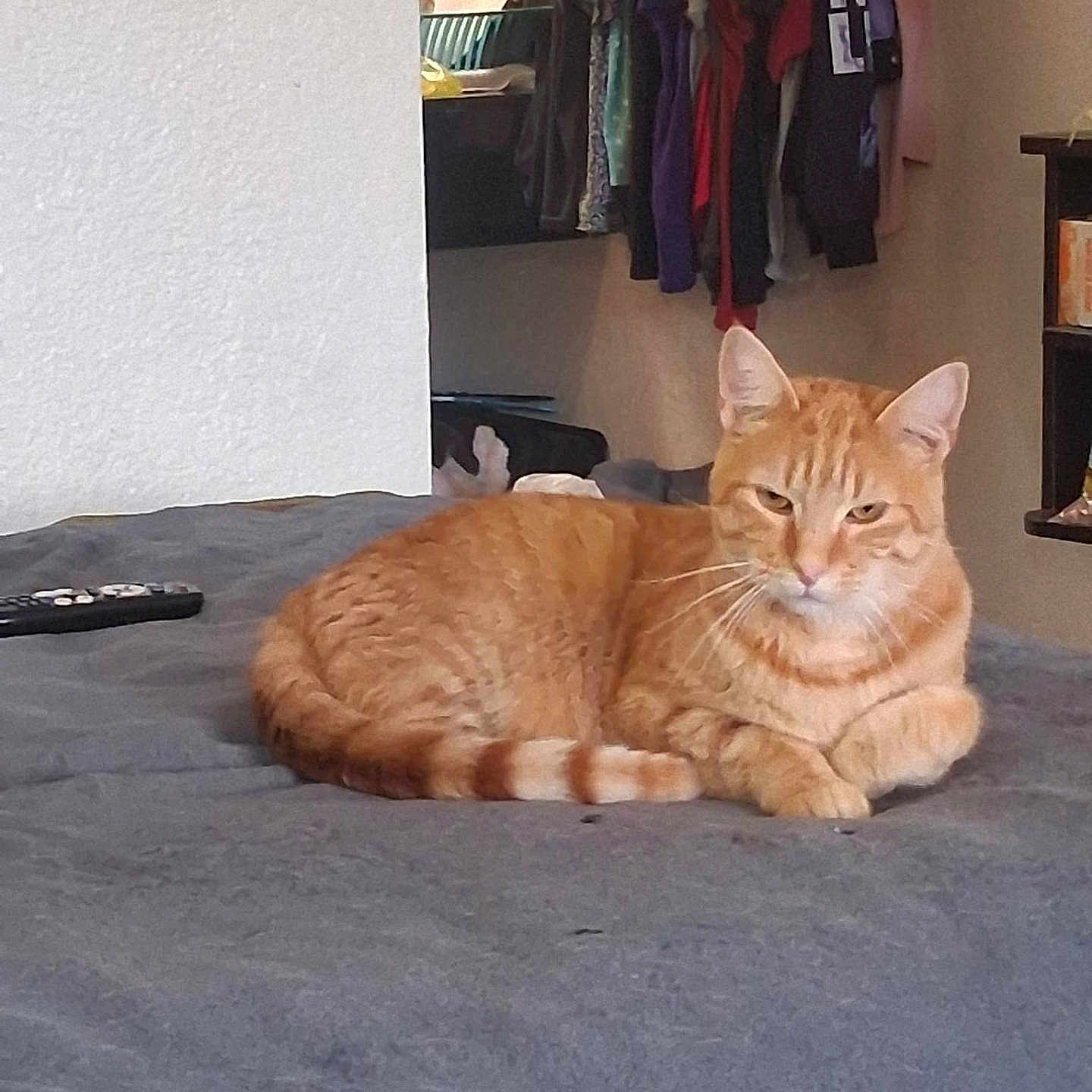 Oliver