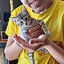 Amaya a rejoint le concours — aidez-le/la à gagner de superbes lots ! person, kitten, cat, yellow_shirt, indoor, smiling, holding, cute, young_adult, tabby, pet, feline, face, hands, portrait, curious, cozy, domestic, happy, animal