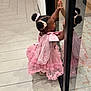 child, girl, pink_dress, hair_scrunchies, reflection, glass_door, tile_floor, curious, side_view, indoor, fashion, cute, little_girl, puffed_sleeves, ruffles, standing, hands_on_glass, black_hair, adorable, young_child