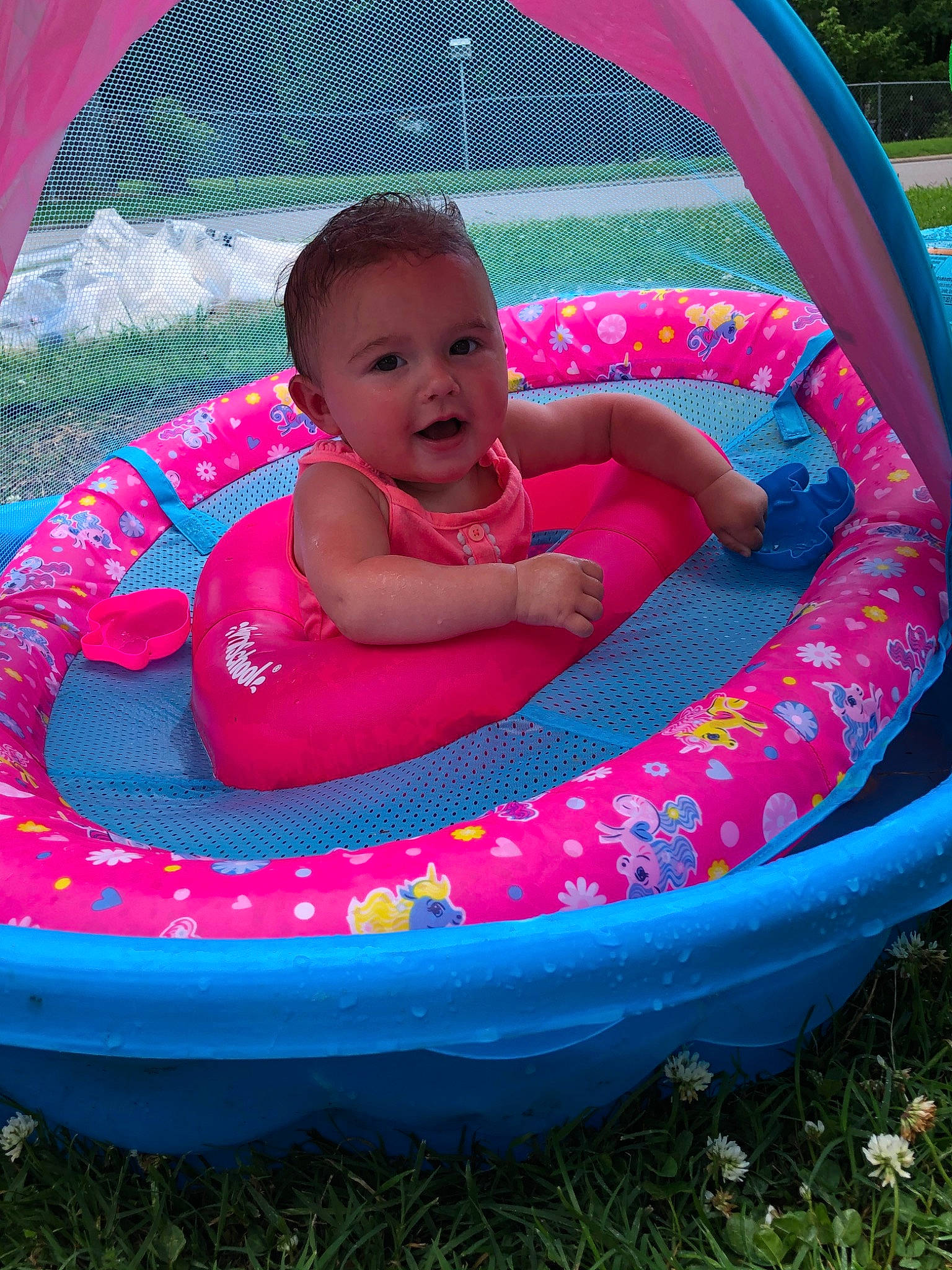Eyvey is registered to the contest to win money with this photo: baby, baby_products, baby_toddler_clothing, blue, child, circle, event, fun, grass, green, inflatable, leisure, magenta, person, pink, plant, product, recreation, smile, tent
