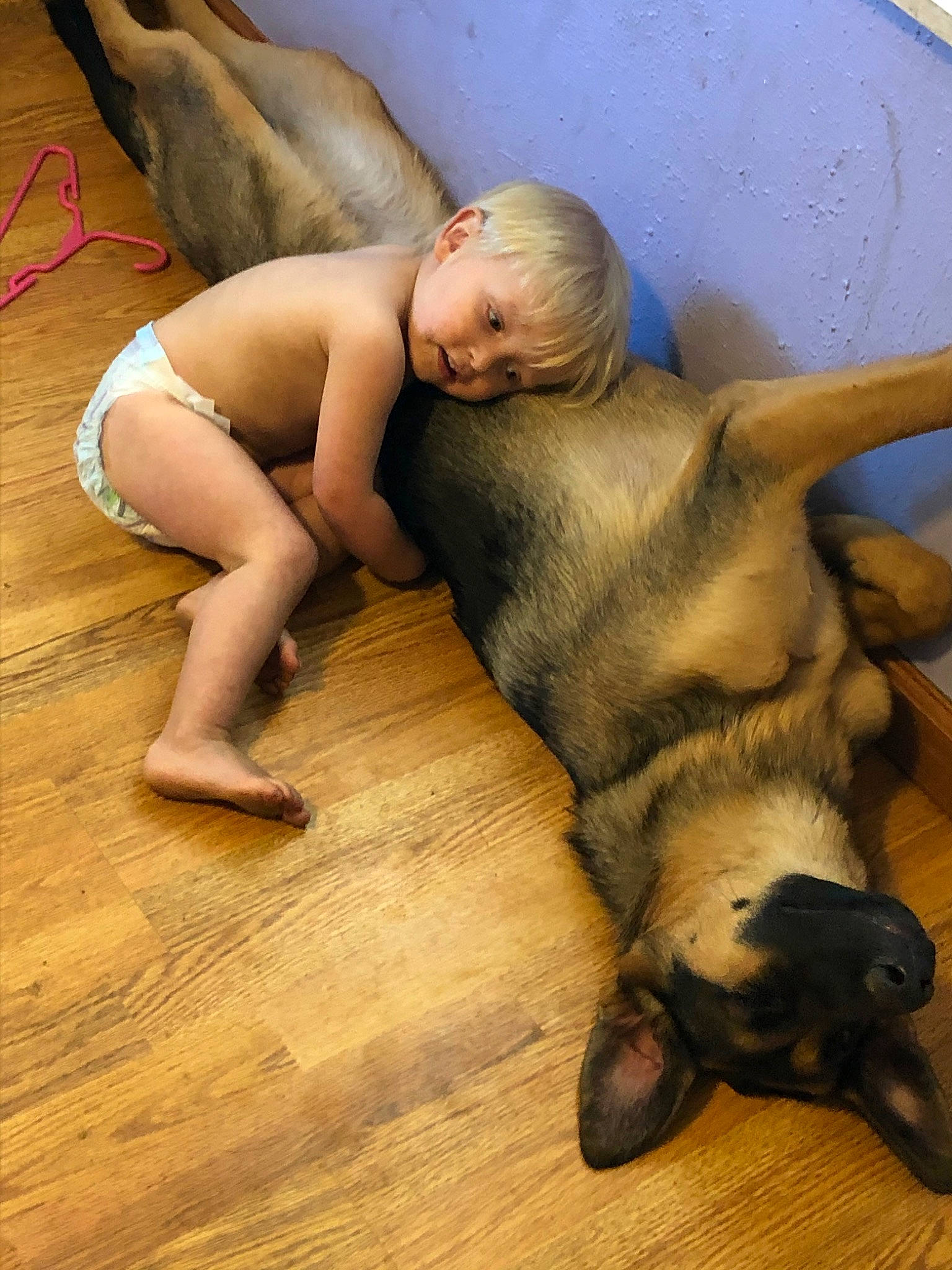 Kristopher is registered to the contest to win money with this photo: barefoot, carnivore, chest, comfort, dog, fawn, floor, flooring, foot, hair, hardwood, human_body, human_leg, knee, leg, mammal, person, thigh, trunk, vertebrate