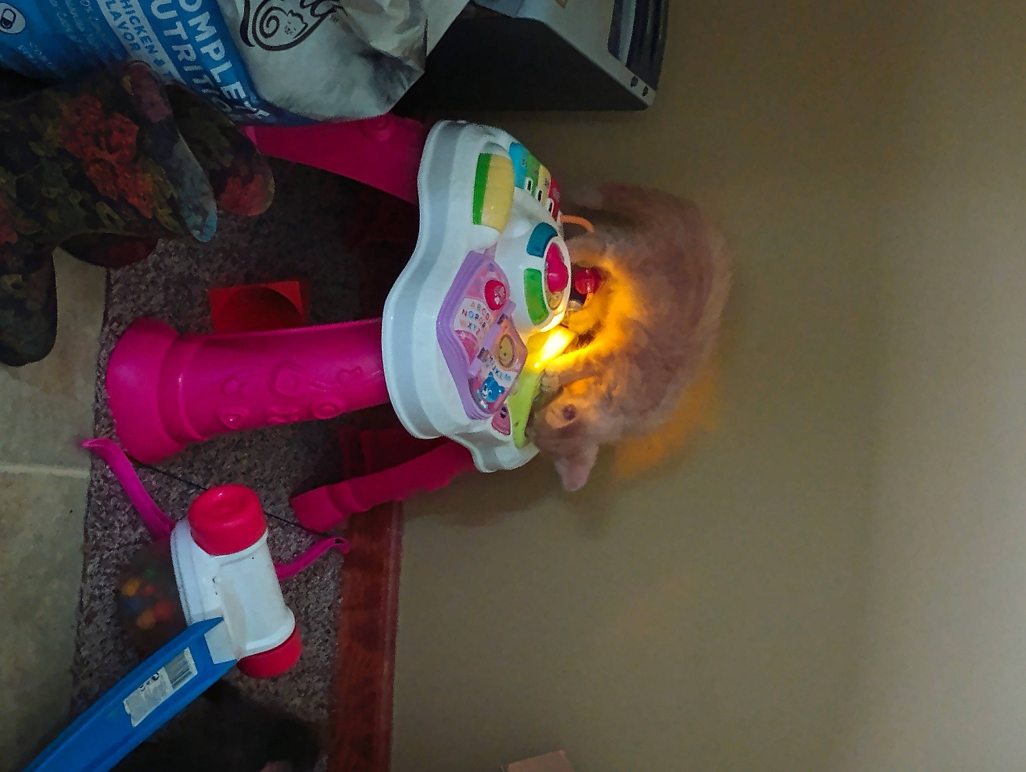 Snickers is registered to the contest to win money with this photo: carmine, costume, fun, glove, magenta, nail, plastic, plastic_bottle, room, sock, toy