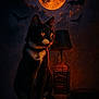 animal, bats, bell, black_cat, cat, collar, dark, full_moon, halloween, jack_daniels, lamp, night, orange_glow, pet, portrait, sitting, spooky, table, whiskey_bottle, white_paws