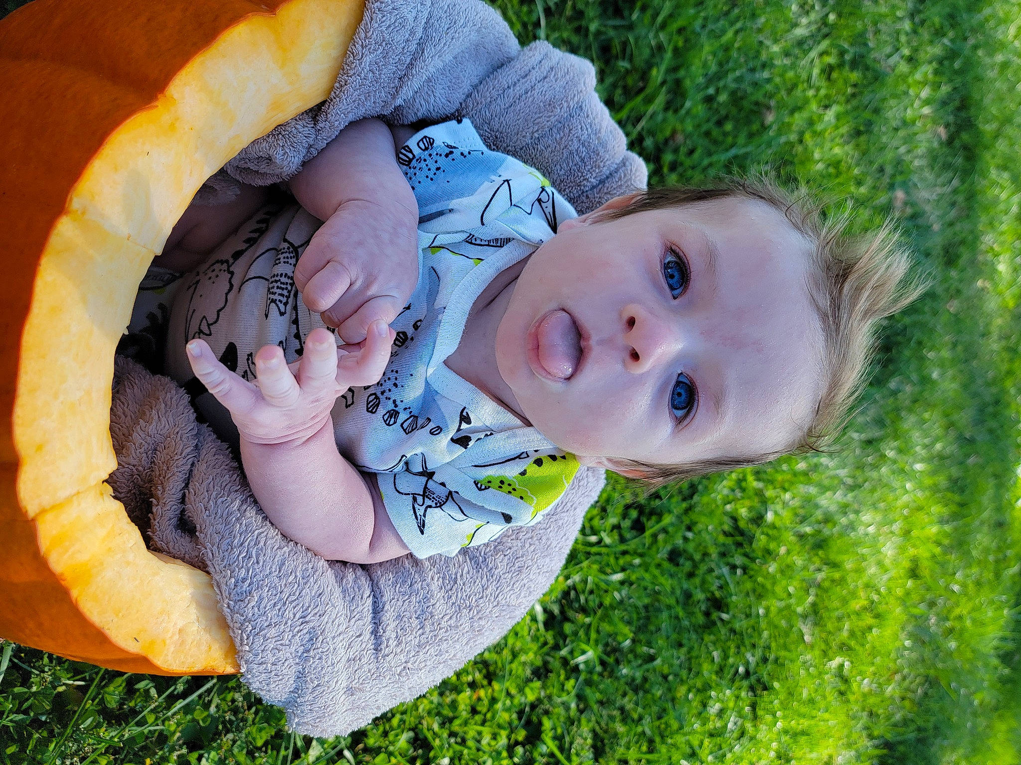 Grant is registered to the contest to win money with this photo: baby, baby_products, baby_toddler_clothing, child, comfort, fun, grass, grassland, happy, leisure, meadow, nose, people_in_nature, person, plant, portrait_photography, sitting, skin, toddler, tree