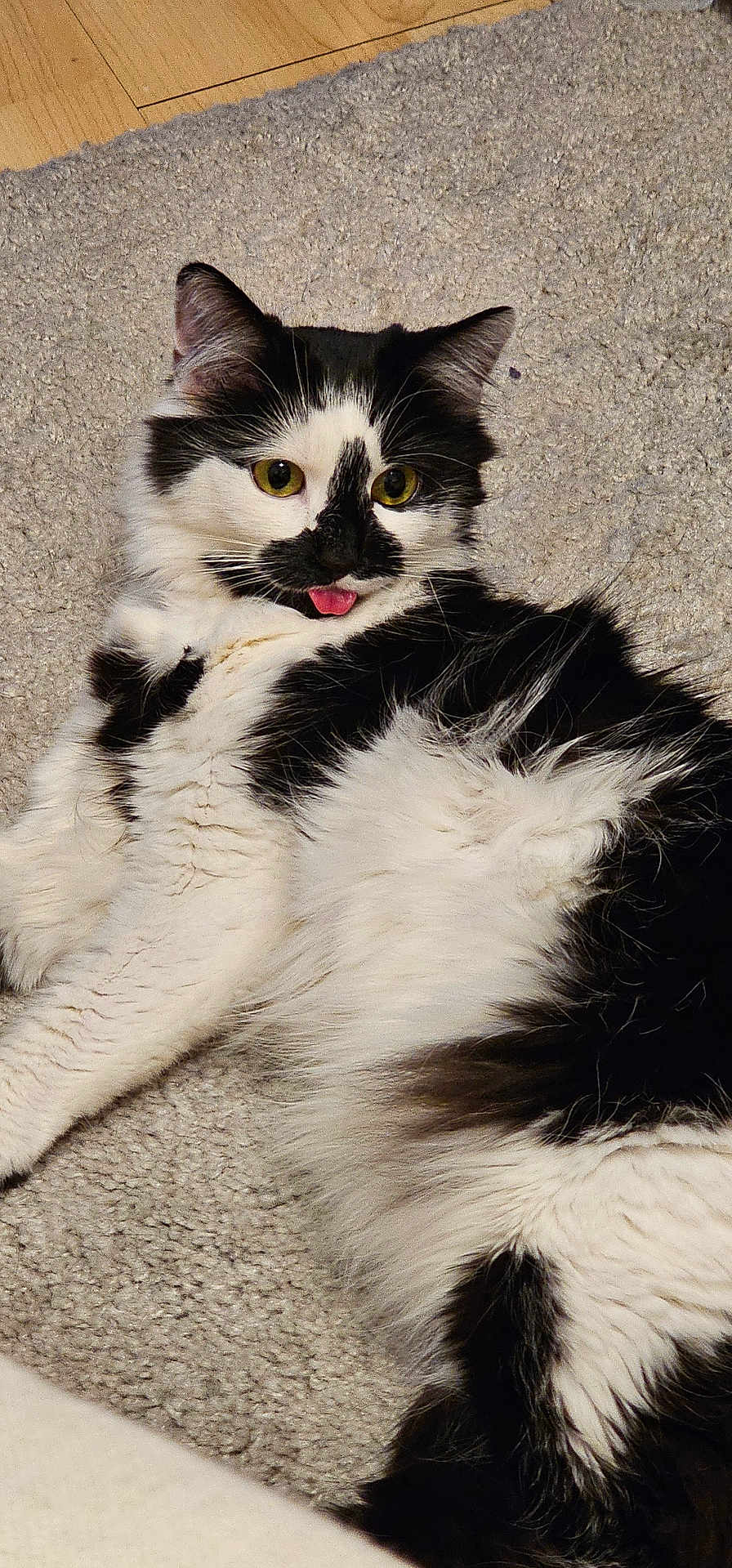 Luna