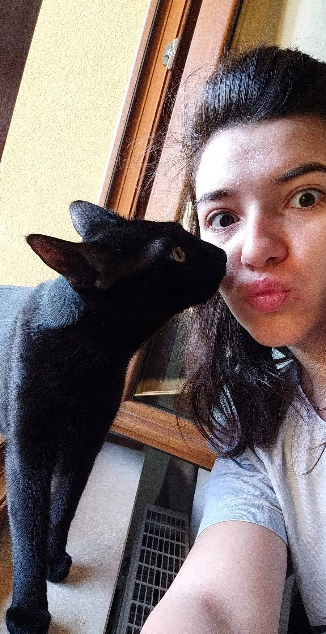 Kyubi a rejoint le concours — aidez-le/la à gagner de superbes lots ! australian_kelpie, black_cat, black_hair, canidae, dog_breed, ear, fawn, gesture, jaw, nose, photography, selfie, snout