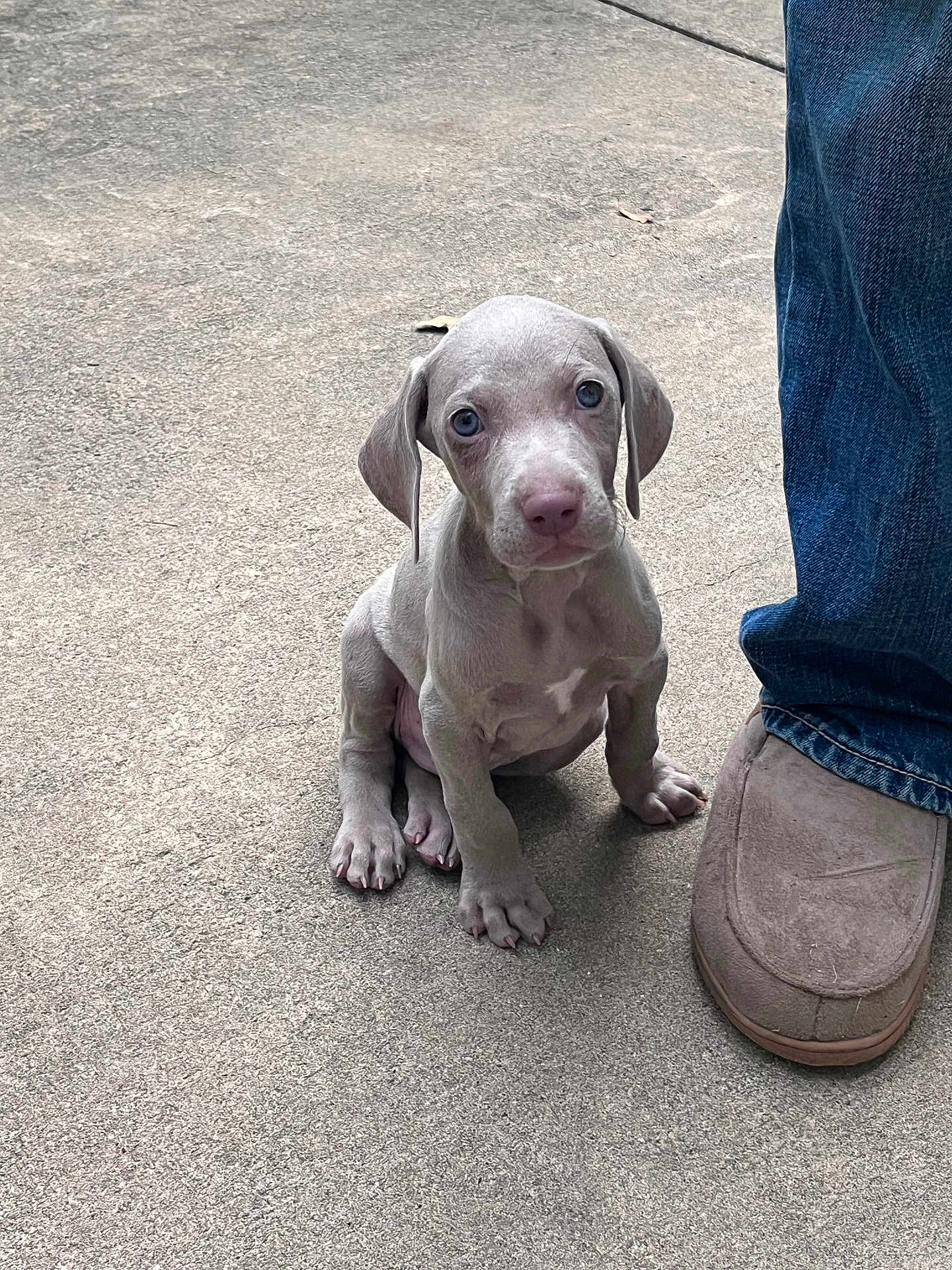 Remington