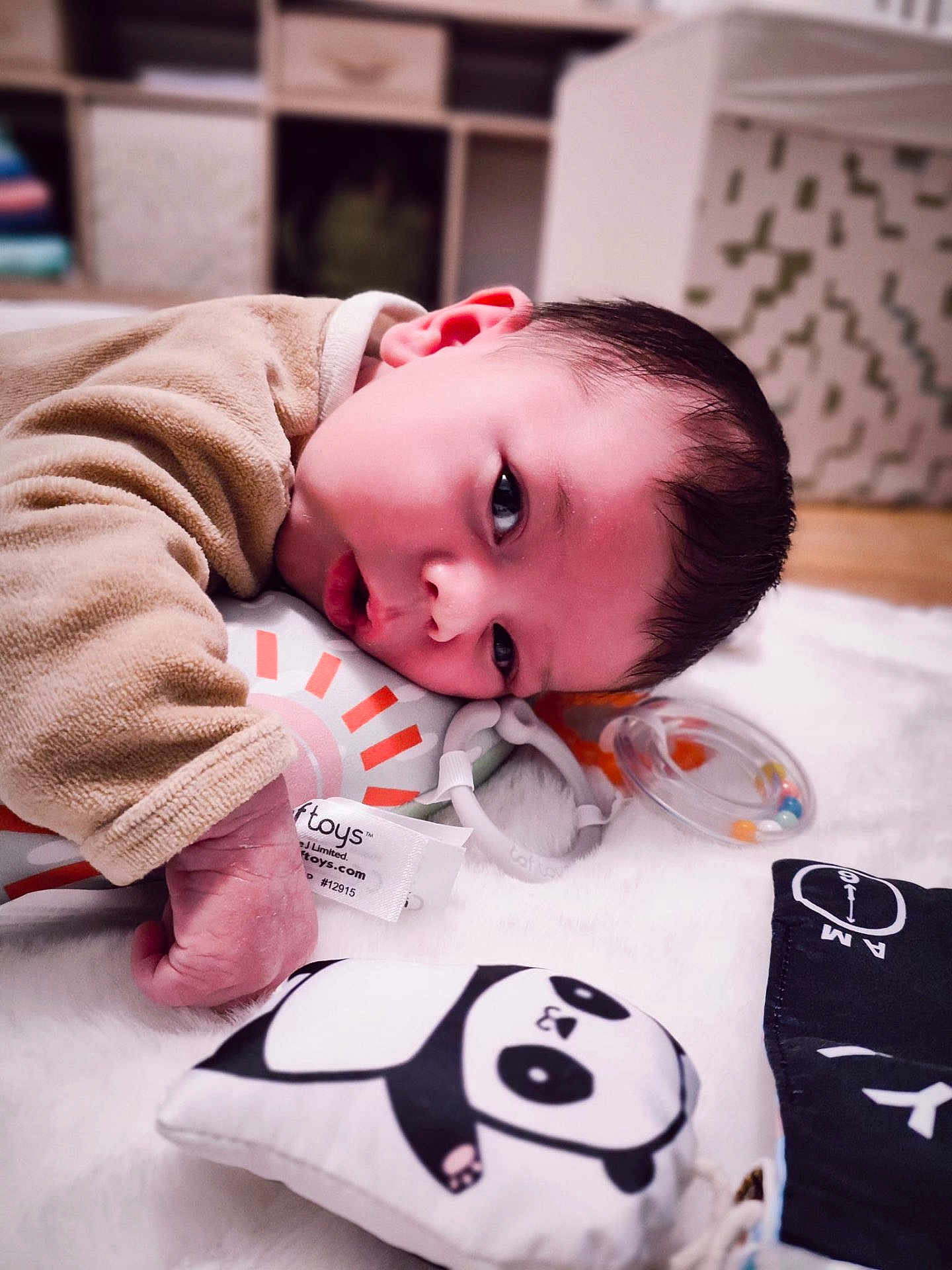 Marius