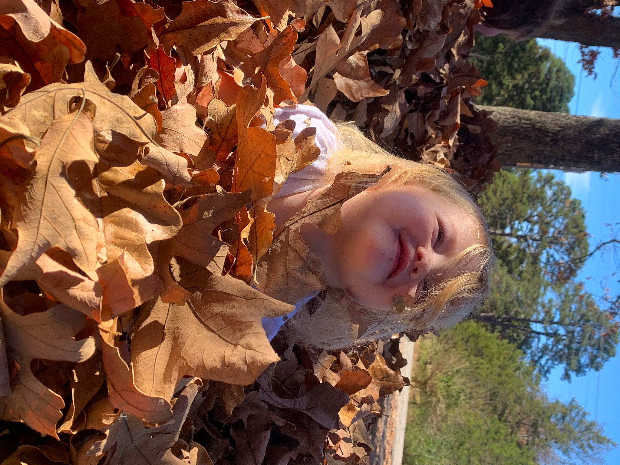 Harlow joined the competition — help win amazing prizes! branch, daytime, deciduous, fun, grass, happy, landscape, organism, people_in_nature, person, plant, sky, smile, sunlight, tints_and_shades, tree, trunk, twig, winter, wood