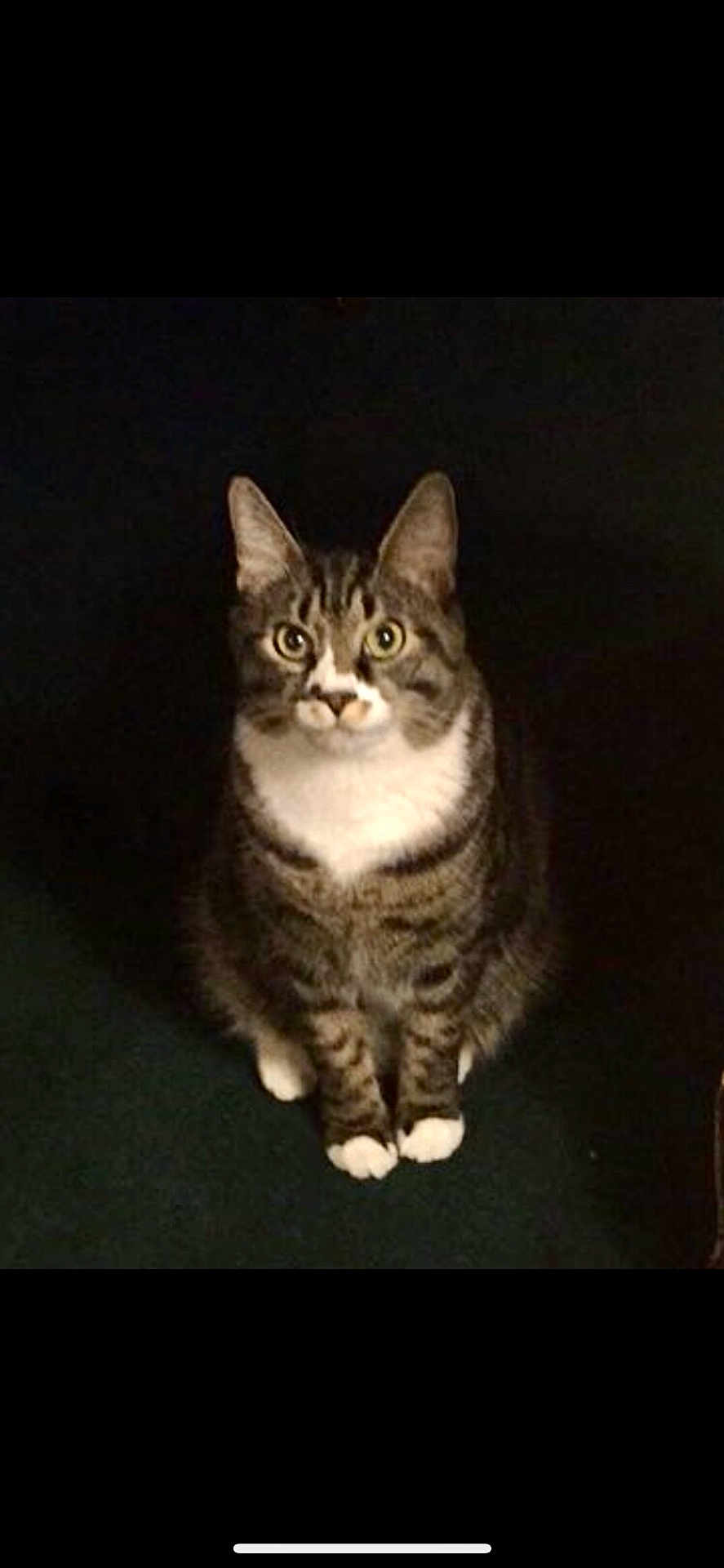 Rocky