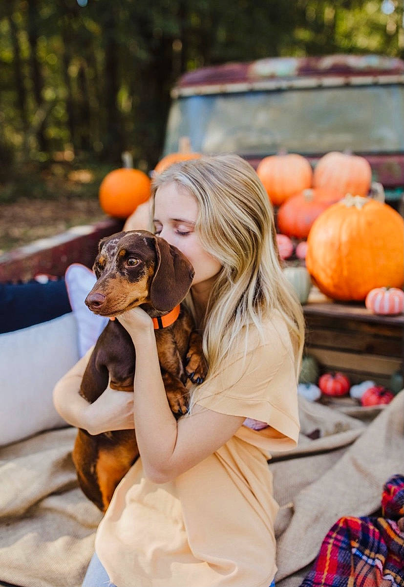 Fatboy is registered to the contest to win money with this photo: calabaza, carnivore, companion_dog, cucurbita, dog, dog_breed, fawn, fun, gourd, grass, happy, leisure, natural_foods, orange, plant, pumpkin, sunglasses, tartan, toy, tree