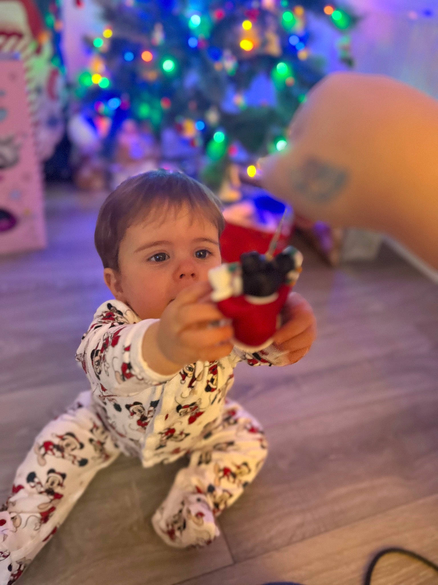 Archi is registered to the contest to win money with this photo: baby, baby_toddler_clothing, child, christmas_decoration, christmas_ornament, christmas_tree, event, flooring, fun, happy, holiday, human, human_body, leisure, ornament, person, purple, standing, toddler, tree