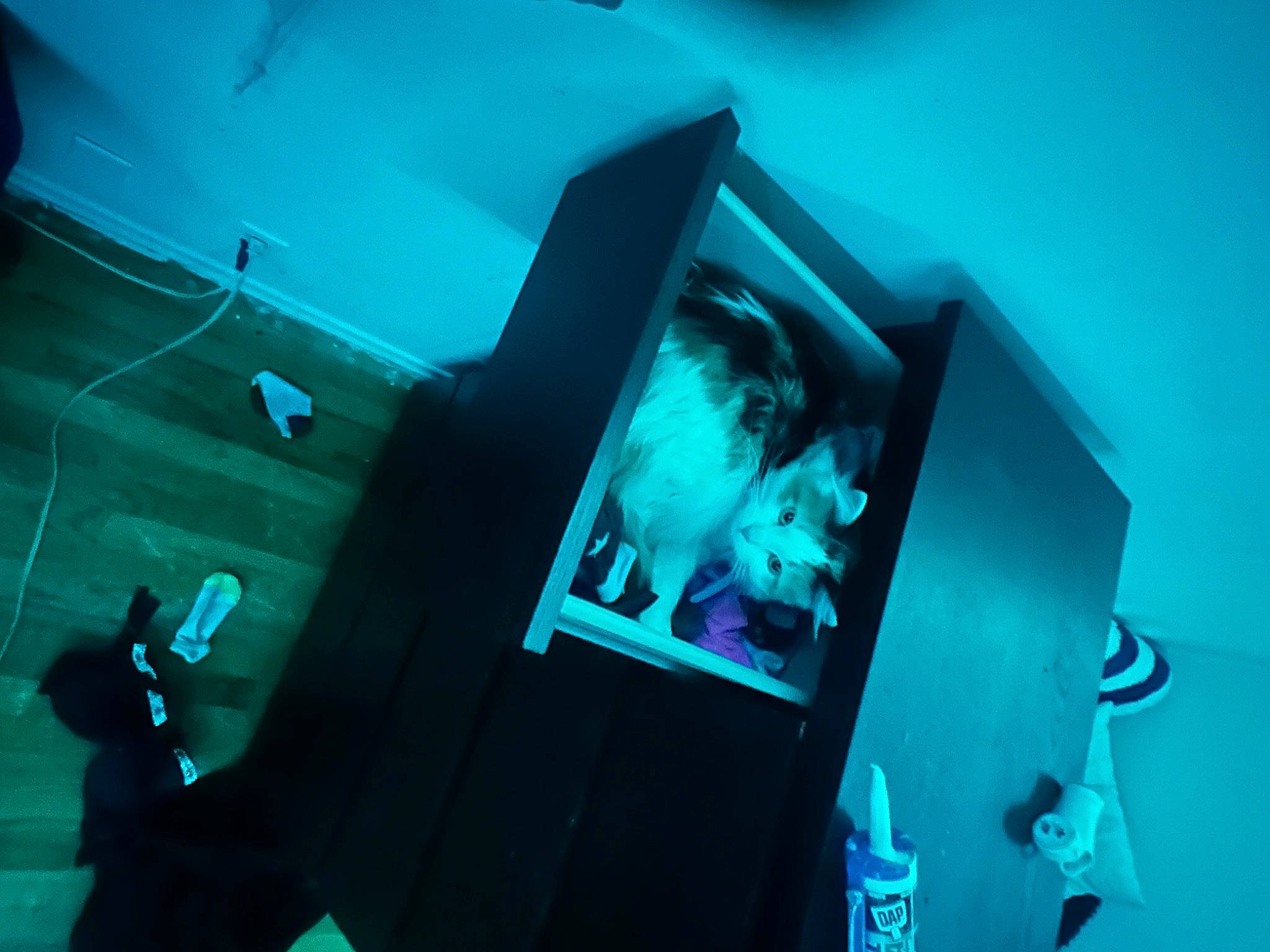 Kiki is registered to the contest to win money with this photo: aqua, azure, blue, display_device, elbow, electric_blue, entertainment, event, fun, gadget, magenta, multimedia, music, performance, performing_arts, room, t_shirt, technology