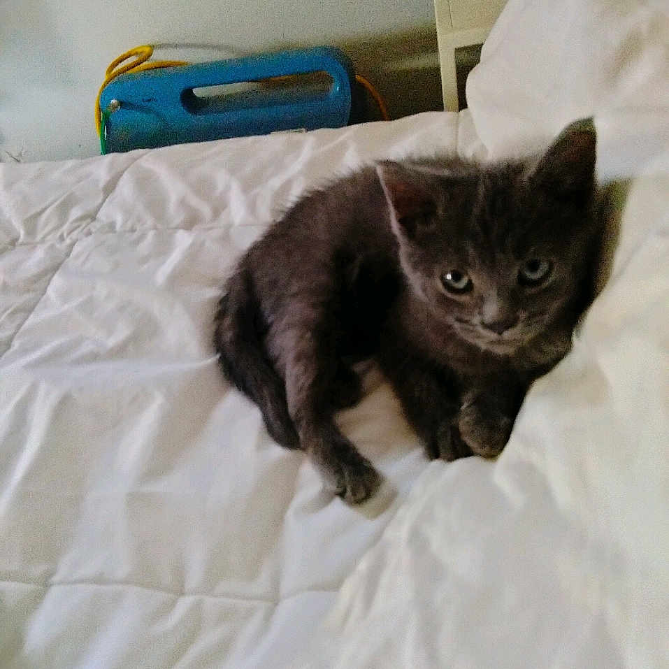 Zoey
