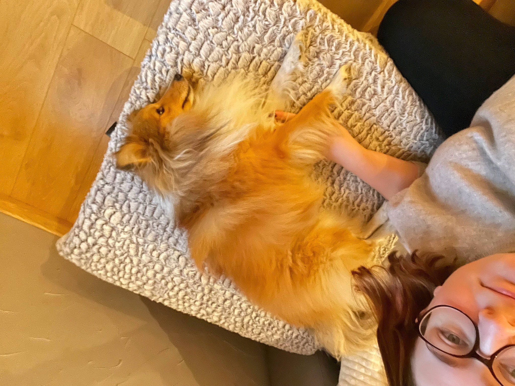 River participe au concours pour gagner de l'argent avec cette photo : carnivore, claw, coffee_cup, comfort, companion_dog, dog_breed, fawn, felidae, flooring, fur, hardwood, paw, saucer, small_to_medium_sized_cats, snout, sporting_group, tableware, tail, whiskers, wood