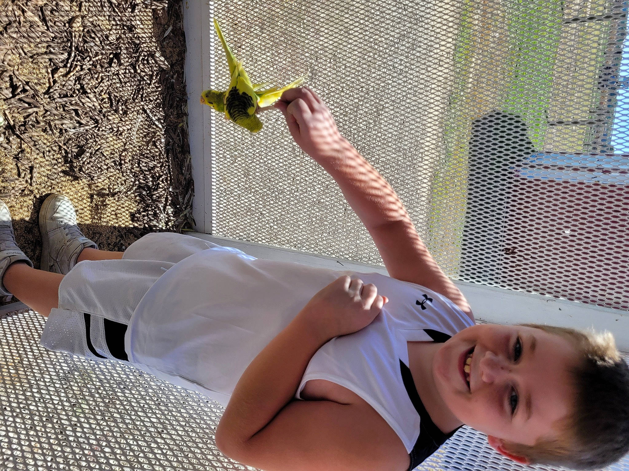 Blaze is registered to the contest to win money with this photo: barefoot, child, comfort, elbow, eyewear, foot, grass, happy, human_leg, joint, joy, knee, leisure, person, room, shade, shorts, sitting, smile, thigh