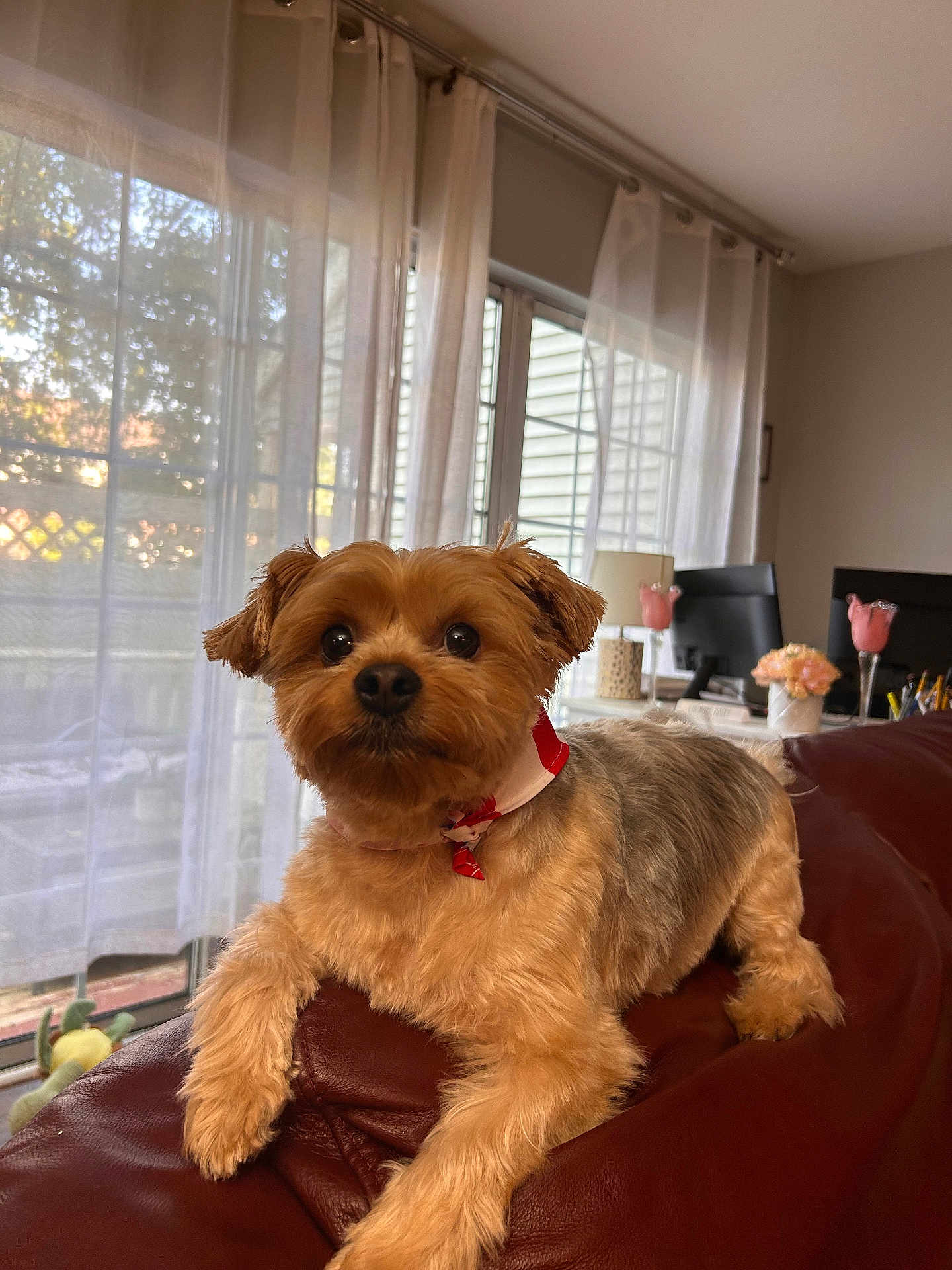 Leo
