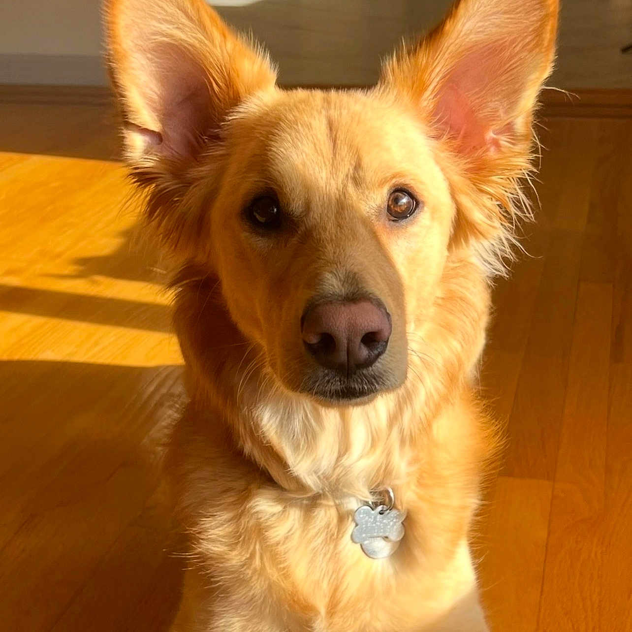 Ellie Mae