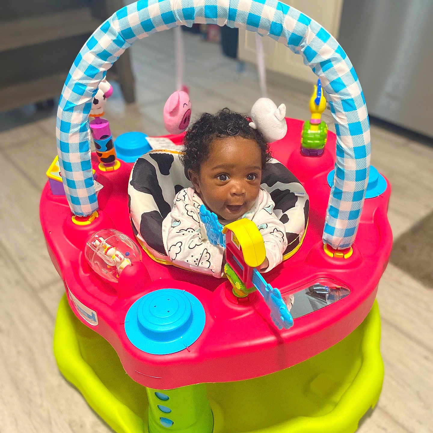 Ashyla