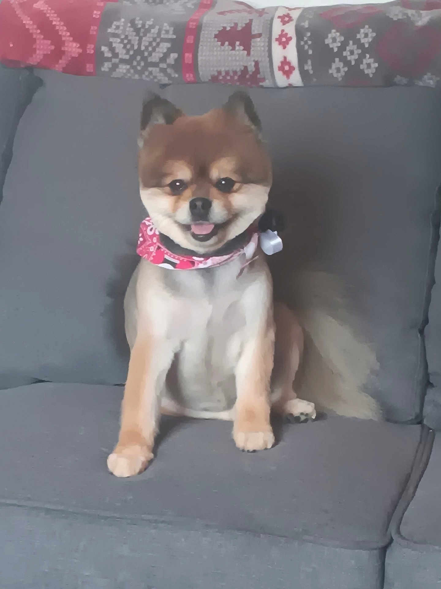 Berry Bear