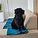 Athos