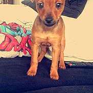 Laly participe au concours pour gagner de l'argent avec cette photo :