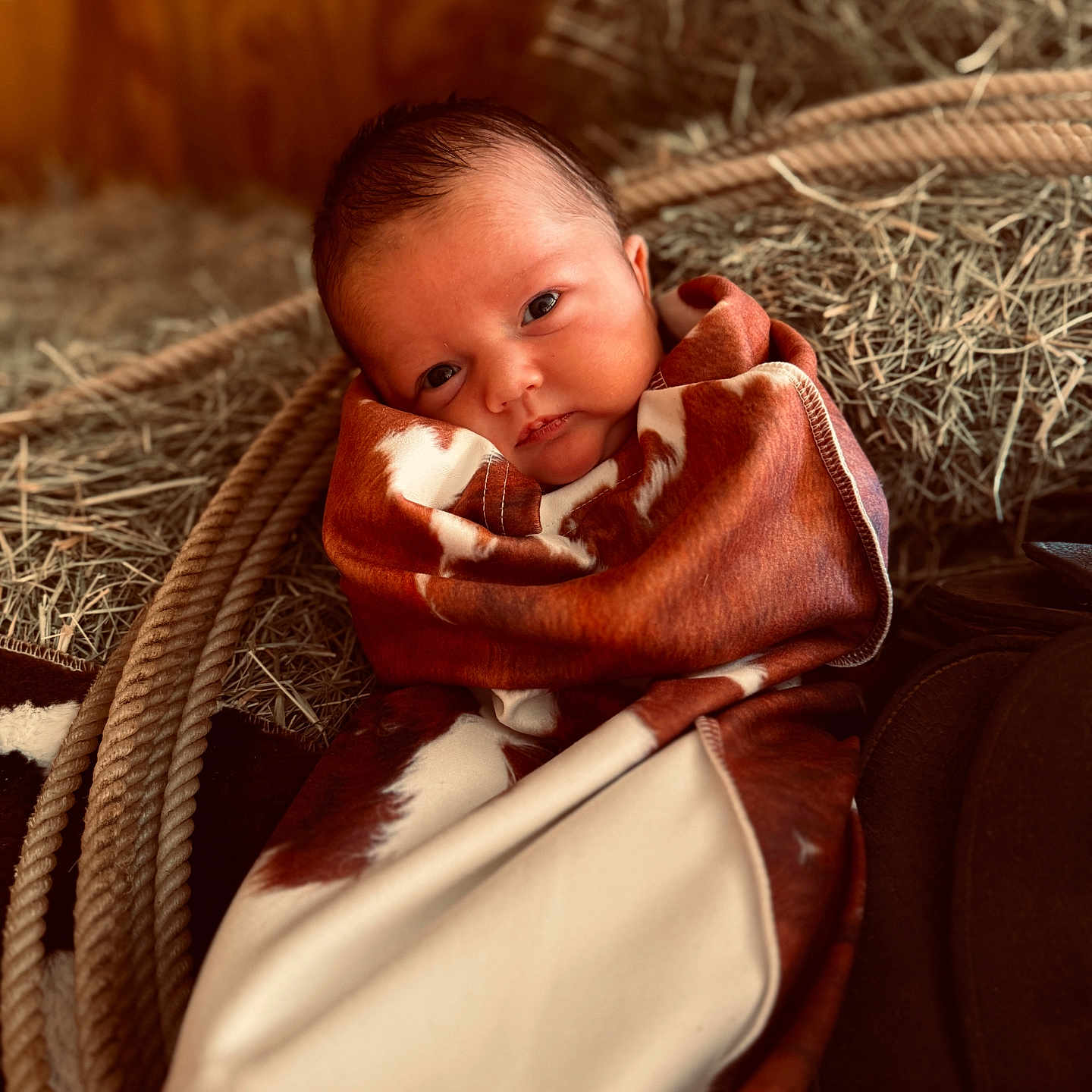 Liam joined the competition — help win amazing prizes! baby, barn, blanket, brown, closeup, cow_print, cozy, cute, face, hay, indoors, infant, newborn, portrait, resting, rope, soft, white, wood, wrapped