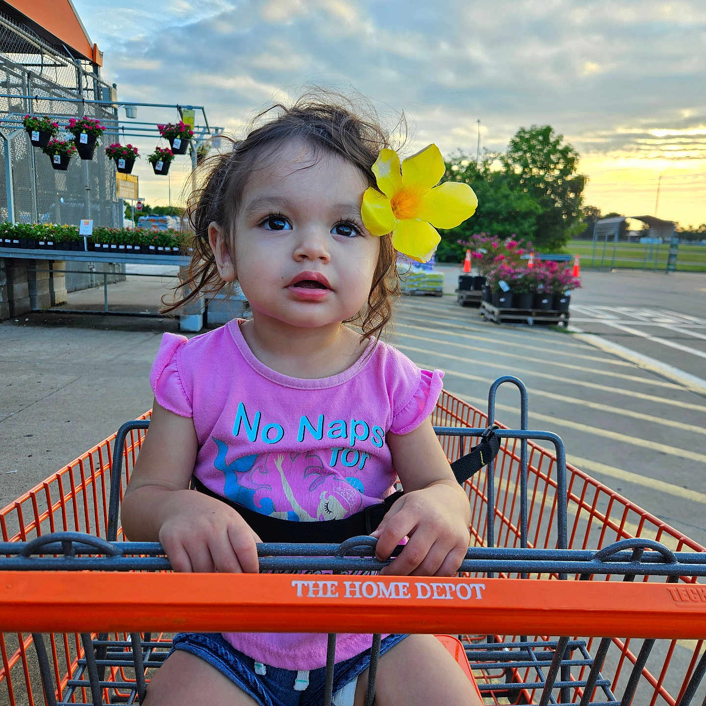 Ana Marie joined the competition — help win amazing prizes! bodypart, child, city, face, female, flower, girl, head, machine, outdoors, person, photography, plant, portrait, road, shoppingcart, street, summer, urban, wheel