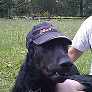 Elios participe au concours pour gagner de l'argent avec cette photo :