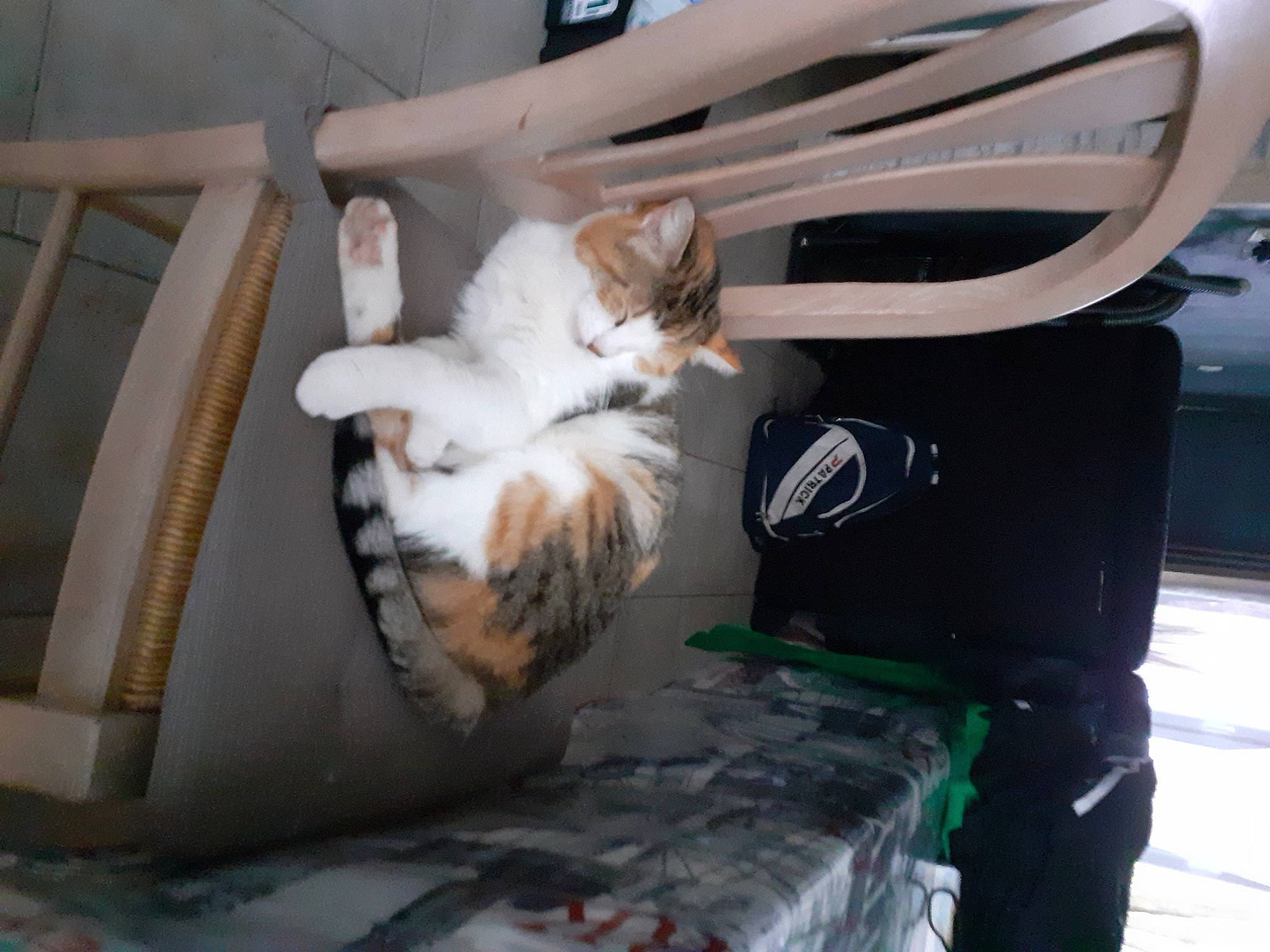 Nala